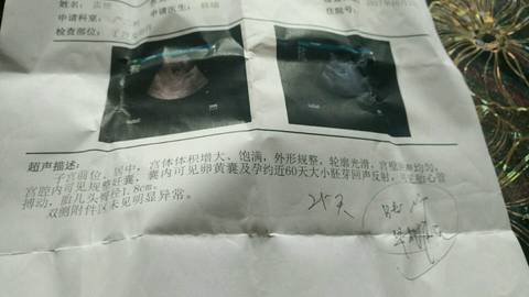 journal_insert_pic_858516732