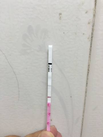 journal_insert_pic_859828808