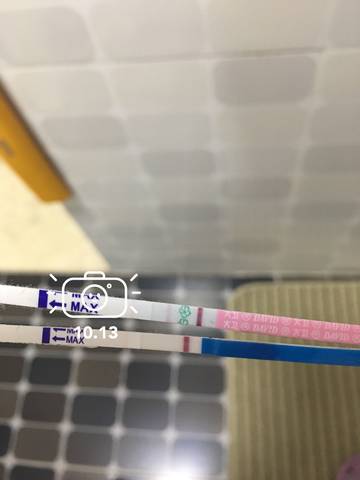 journal_insert_pic_861304226