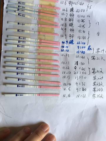 journal_insert_pic_863309838