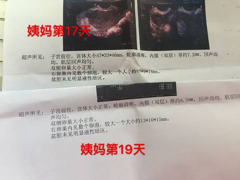 journal_insert_pic_864185371