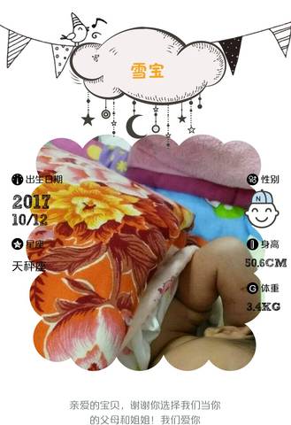 journal_insert_pic_863645569