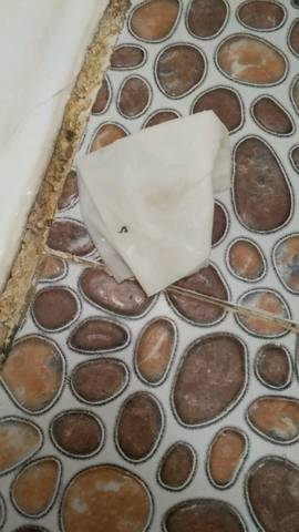 journal_insert_pic_864590853