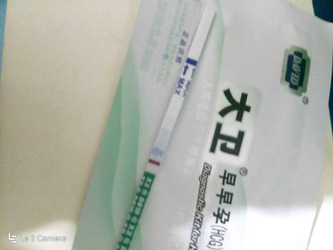 journal_insert_pic_865020757