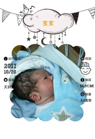 journal_insert_pic_865835718