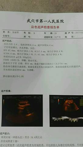 journal_insert_pic_866322665
