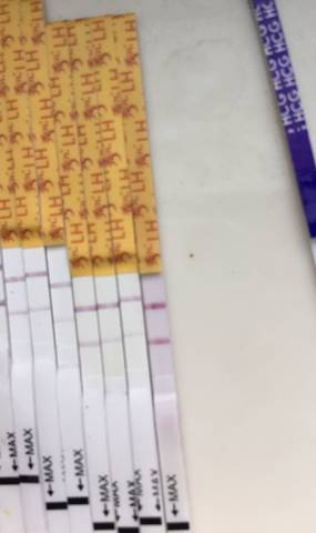 journal_insert_pic_866541364