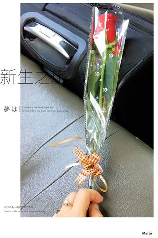 journal_insert_pic_867822043