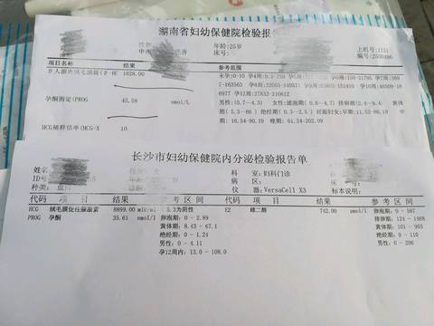 journal_insert_pic_868470782