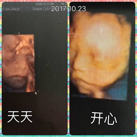 journal_insert_pic_868283644