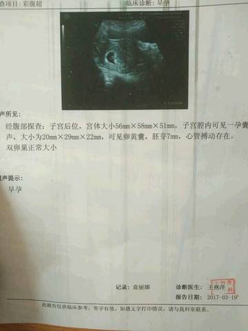 journal_insert_pic_869416944