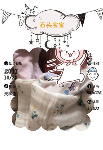 journal_insert_pic_870148837