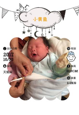 journal_insert_pic_871415707