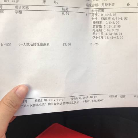 journal_insert_pic_871152561