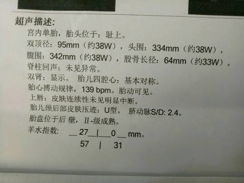 journal_insert_pic_871062886