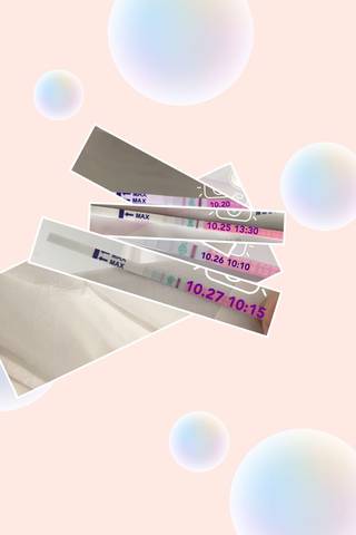 journal_insert_pic_871033296