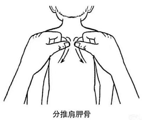 journal_insert_pic_871612491