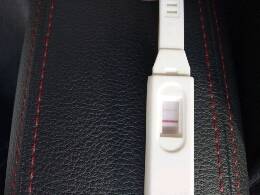 journal_insert_pic_872325498