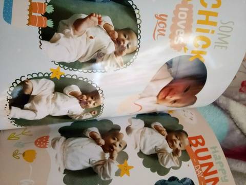 journal_insert_pic_873262852