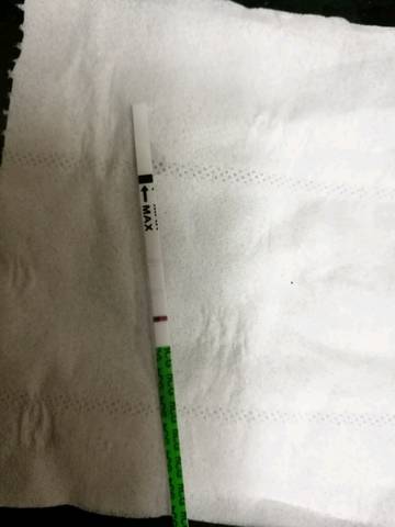 journal_insert_pic_874870980