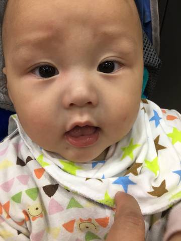 journal_insert_pic_875510422