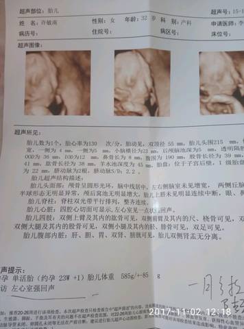 journal_insert_pic_875515703