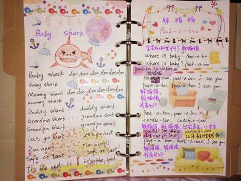 journal_insert_pic_876556817