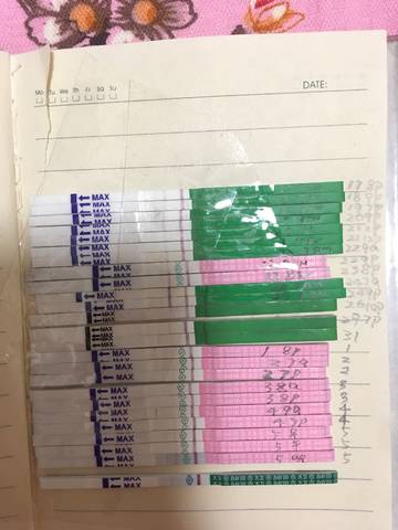 journal_insert_pic_877841033