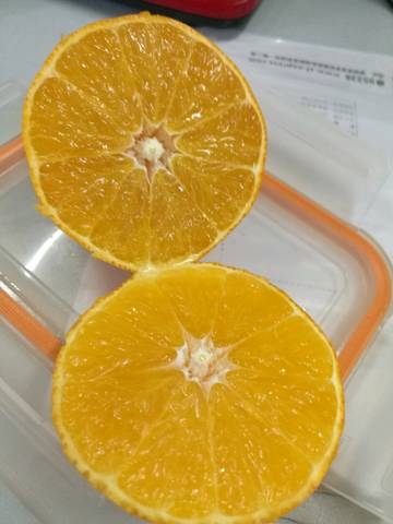 journal_insert_pic_878703979
