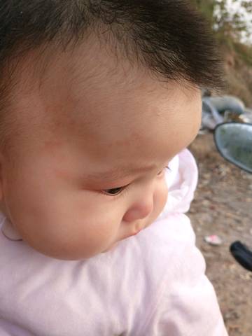 journal_insert_pic_878437126