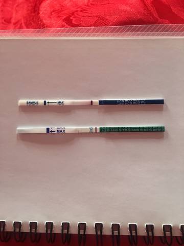 journal_insert_pic_878876588