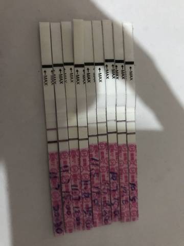 journal_insert_pic_879485685