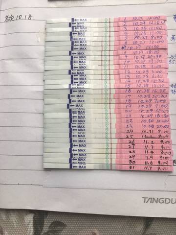 journal_insert_pic_878903373