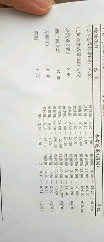 journal_insert_pic_880112180
