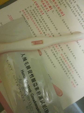 journal_insert_pic_879713056