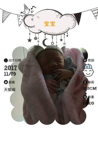 journal_insert_pic_880598636