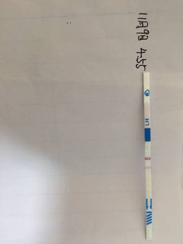 journal_insert_pic_880584030
