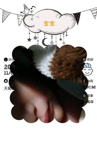 journal_insert_pic_880221439