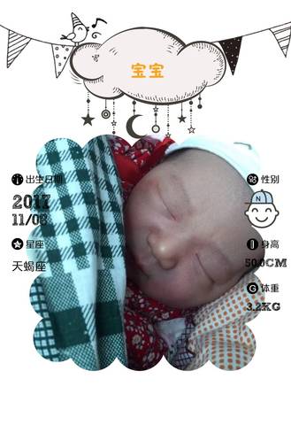 journal_insert_pic_880218993