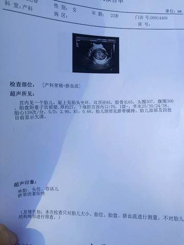 journal_insert_pic_880418280