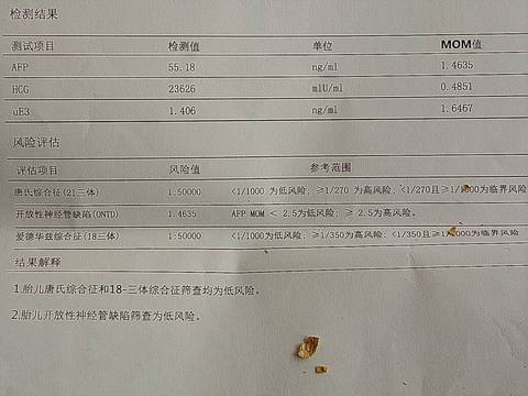 journal_insert_pic_880491150