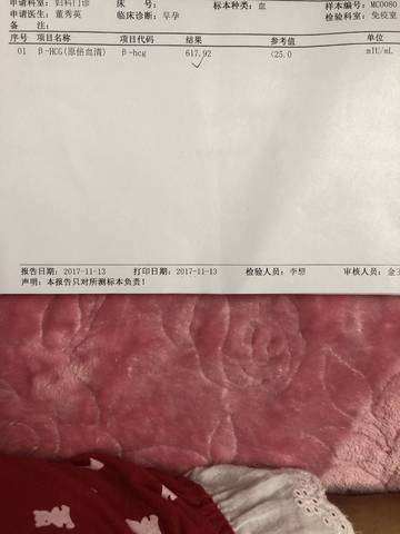 journal_insert_pic_883328815
