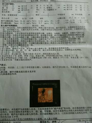 journal_insert_pic_884681325