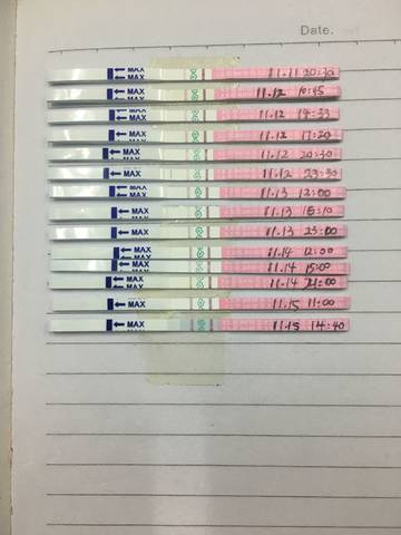 journal_insert_pic_884579220
