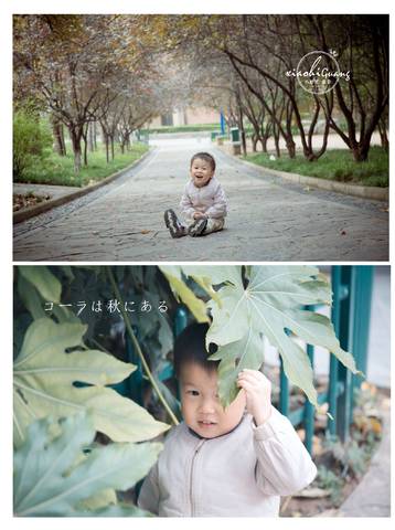 journal_insert_pic_885042163