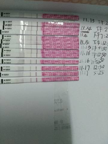 journal_insert_pic_886318689