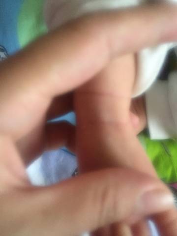 journal_insert_pic_886163265