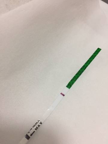 journal_insert_pic_886584939