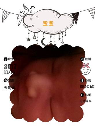 journal_insert_pic_886683293