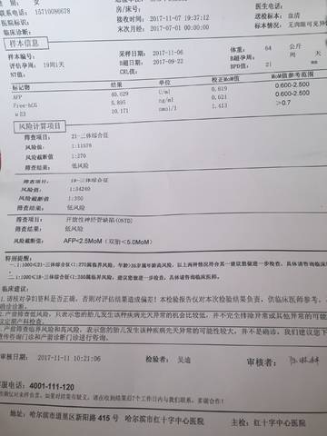 journal_insert_pic_887354683